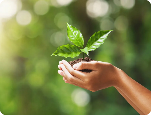 شرکت محصولات پزشکی جیانگ سو دینگشون